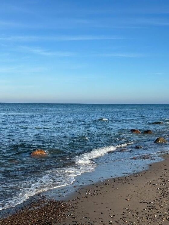 Ferienwohnung in Dranske - Kapitänskajüte am Bakenberg- D21 - Bild 13