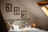 Ferienwohnung in Fehmarn - Apfel - Bild 14