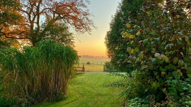 Ferienhaus in Sch&ouml;nwalde - Alte Kate - Bild 23