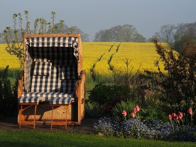 Ferienhaus in Gro&szlig; Schwansee - Ferienhaus Am Felde - Bild 10