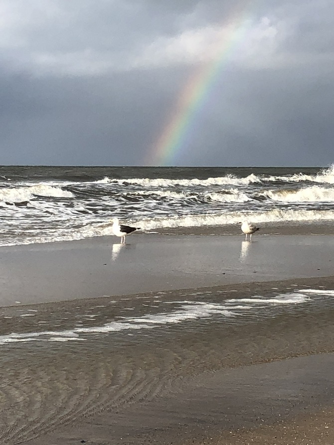 Ferienhaus in R&ouml;vershagen - Piratenburg R&ouml;vershagen - Bild 25