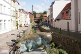 Ferienwohnung in Wismar - Altstadthaus Heyn - nur f&uuml;r Ferieng&auml;ste - ABC81 - Bild 13